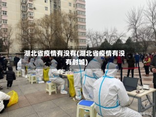 湖北省疫情有没有(湖北省疫情有没有封城)
