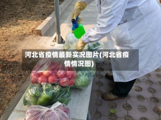 河北省疫情最新实况图片(河北省疫情情况图)