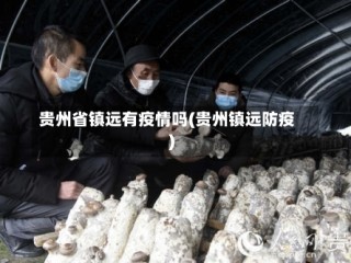 贵州省镇远有疫情吗(贵州镇远防疫)