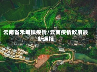 云南省禾甸镇疫情/云南疫情政府最新通报