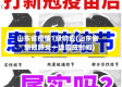 山东省疫情1级响应(山东省新冠肺炎一级响应时间)