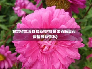 甘肃省兰溪县最新疫情(甘肃省临夏市疫情最新情况)