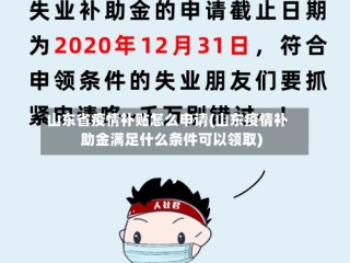 山东省疫情补贴怎么申请(山东疫情补助金满足什么条件可以领取)