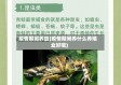 疫情期间养蛙(疫情期间养什么养殖业好呢)