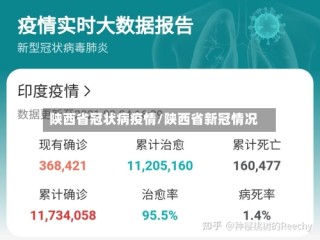 陕西省冠状病疫情/陕西省新冠情况