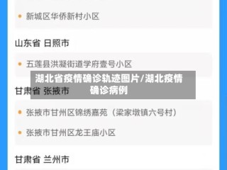 湖北省疫情确诊轨迹图片/湖北疫情确诊病例