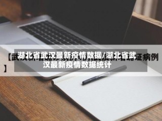 湖北省武汉最新疫情数据/湖北省武汉最新疫情数据统计