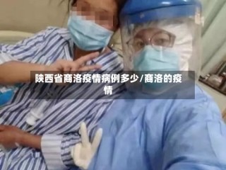 陕西省商洛疫情病例多少/商洛的疫情