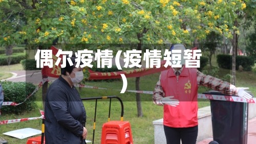 偶尔疫情(疫情短暂)