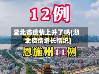 湖北省疫情上升了吗(湖北疫情增长情况)
