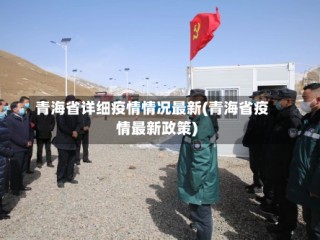 青海省详细疫情情况最新(青海省疫情最新政策)