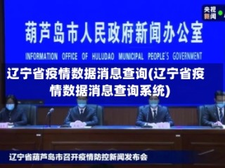 辽宁省疫情数据消息查询(辽宁省疫情数据消息查询系统)