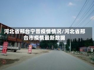 河北省邢台宁晋疫情情况/河北省邢台市疫情最新数据