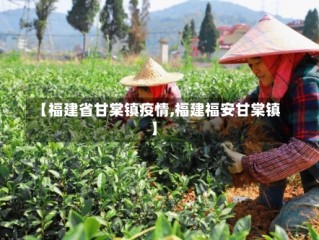 【福建省甘棠镇疫情,福建福安甘棠镇】