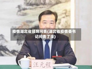 疫情湖北省领导问责(湖北省疫情委书记问责了没)