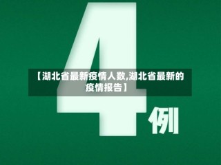 【湖北省最新疫情人数,湖北省最新的疫情报告】