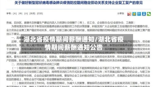 湖北省疫情期间薪酬通知/湖北省疫情期间薪酬通知公告