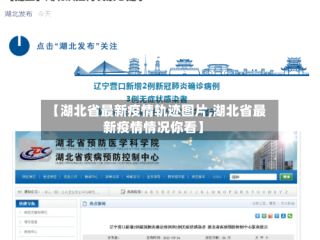 【湖北省最新疫情轨迹图片,湖北省最新疫情情况你看】