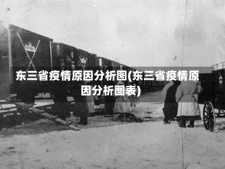 东三省疫情原因分析图(东三省疫情原因分析图表)