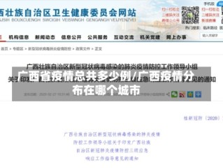 广西省疫情总共多少例/广西疫情分布在哪个城市