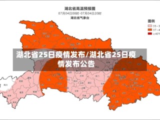 湖北省25日疫情发布/湖北省25日疫情发布公告