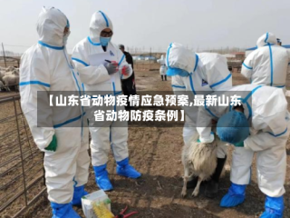 【山东省动物疫情应急预案,最新山东省动物防疫条例】