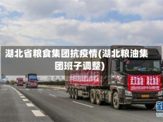 湖北省粮食集团抗疫情(湖北粮油集团班子调整)