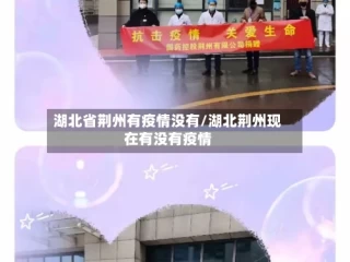 湖北省荆州有疫情没有/湖北荆州现在有没有疫情