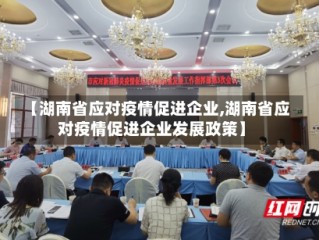 【湖南省应对疫情促进企业,湖南省应对疫情促进企业发展政策】