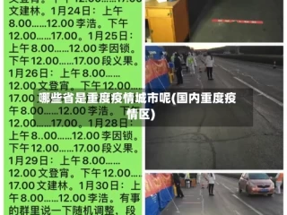 哪些省是重度疫情城市呢(国内重度疫情区)