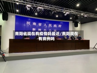 南阳省现在有疫情吗最近/南阳现在有病例吗