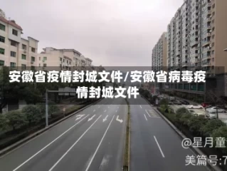 安徽省疫情封城文件/安徽省病毒疫情封城文件
