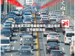 湖北省武汉疫情最新报告/湖北省武汉市最新消息