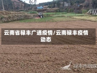 云南省禄丰广通疫情/云南禄丰疫情动态