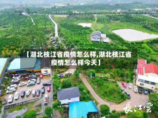 【湖北枝江省疫情怎么样,湖北枝江省疫情怎么样今天】