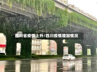 四川省疫情上升/四川疫情增加情况