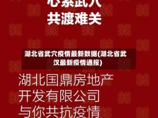 湖北省武穴疫情最新数据(湖北省武汉最新疫情通报)