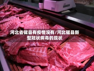 河北省磁县有疫情没有/河北磁县新型冠状病毒的现状