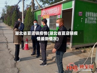 湖北省夏店镇疫情(湖北省夏店镇疫情最新情况)
