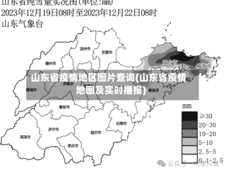 山东省疫情地区图片查询(山东省疫情地图及实时播报)