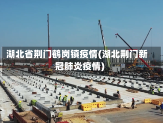 湖北省荆门鹤岗镇疫情(湖北荆门新冠肺炎疫情)