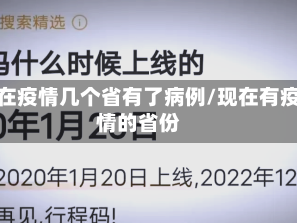 现在疫情几个省有了病例/现在有疫情的省份