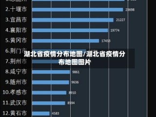 湖北省疫情分布地图/湖北省疫情分布地图图片