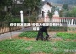 疫情爆发高潮/疫情大爆发会有什么后果