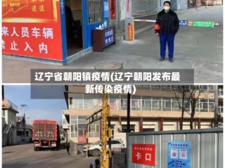 辽宁省朝阳镇疫情(辽宁朝阳发布最新传染疫情)