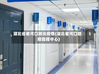 湖北省老河口肺炎疫情(湖北老河口防疫指挥中心)