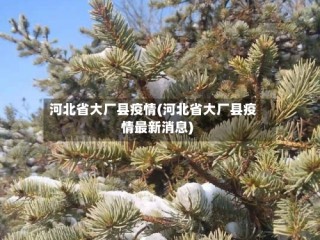 河北省大厂县疫情(河北省大厂县疫情最新消息)