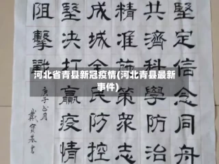 河北省青县新冠疫情(河北青县最新事件)
