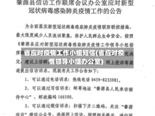 省应对疫情工作小组短信(省应对疫情领导小组办公室)