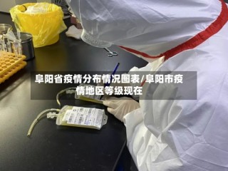 阜阳省疫情分布情况图表/阜阳市疫情地区等级现在